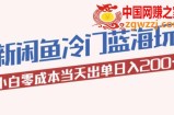 2023最新闲鱼冷门蓝海玩法，小白零成本当天出单日入200+【揭秘】