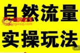 拼多多自然流量天花板，拼多多自然流的实操玩法，自然流量是怎么来的，如何开车带来自然流等知识