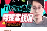 TikTok电商学长Ethan·TikTok电商变现实战课，TikTok运营+Shopify独立站运营+TikTok广告投放