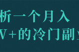 解析一个月入2W+的冷门副业!【视频教程】