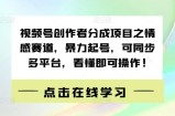 视频号创作者分成项目之情感赛道，暴力起号，可同步多平台，看懂即可操作!