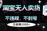 （12780期）淘宝无人卖货4，不违规不封号，简单无脑，日躺赚1000+
