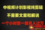 中视频计划影视纯剪辑，不需要文案和解说，一个小时剪一部，100%过原创月入过万【揭秘】