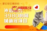 外边收费3980的同城萌宠项目，用最冷门的玩法冲击最热门的市场【揭秘】