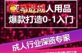 亚马逊成人用品爆款打造0-1入门，系统化讲解亚马逊成人用品爆款打造的流程