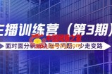 传媒主播训练营（第3期）面对面分新解决账号问题，少走变路（价值6000）