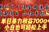 蓝海项目!黑科技引爆全网流量小红书拉新，单日暴力收益7000+，小白也能轻松上手【揭秘】