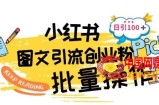 最新小红书批量图文引流技术，日引100+创业粉【揭秘】