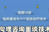 心理咨询面谈技术课理论讲授+案例实录+解释点评视频