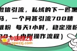 怎么搞精准创业粉？微信新赛道，每天一小时，利用Ai一个问答日引100精准粉