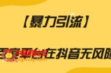 【暴力引流】利用百度平台在抖音无风险引流【揭秘】