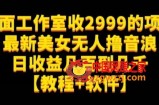 外面工作室收2999的项目最新美女无人撸音浪日收益几百到几千【教程+软件】（仅揭秘）