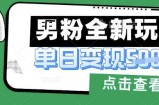 最新男粉暴力变现项目实操版教程，小白也能轻松上手，月入1w【揭秘】