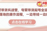 母婴带货实战营，母婴带货起号全流程，可落地的操作流程，一边带娃一边赚钱（附素材）