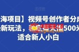 【蓝海项目】视频号创作者分成掘金最新玩法，稳定每天撸500米，适合新人小白【揭秘】