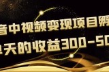 黄岛主《抖音中视频变现项目孵化》单天的收益300-500操作简单粗暴