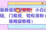 抖音颜值账号变现，小白0基础，门槛低，​轻松涨粉(保姆级教程)【揭秘】