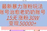 最新暴力涨粉玩法，治愈老奶奶账号，15天涨粉30W，变现至少五位数+