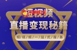 短视频直播电商课程，让你投产翻倍的直播间流量精准打法详解
