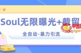 【暴力引流】Soul无限曝光+截留一体的软件【揭秘】