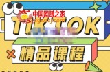 电商孵化中心·TikTok精品课程，教你玩转海外抖音，低成本创业，带您从0开始玩转TikTok