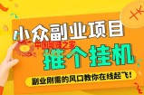 小众电脑流量精灵全自动挂机刷浏览量项目，日收益15+【永久脚本+详细教程】