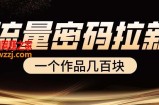 流量密码拉新项目， 一个作品几百块