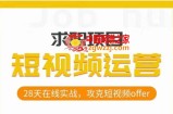 短视频运营求职实操项目，28天在线实战，攻克短视频offer