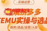 伍跃·跨境拼多多TEMU实操与选品，​趋势/选品/运营/入住（27节完整）