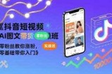 抖音短视频AI图文带货实操班，零粉丝教你涨粉，零基础带你入门