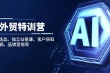 AI外贸特训营：AI快速选品、独立站搭建、客户获取、邮件营销、品牌营销等
