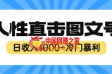 2023最新冷门暴利赚钱项目，人性直击图文号，日收入1000+【视频教程】
