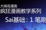 SAI高清教学视频1-16【视频】