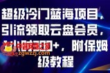 超级冷门蓝海项目，引流领取云盘会员，1小时300+，附保姆级教程