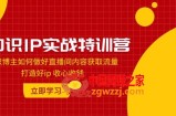 （7903期）专业知识IP实战演练夏令营：知识博主怎样做好直播房间具体内容来获得流量 打造好ip 调整心态收款