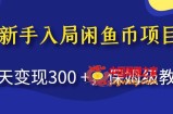 新手入局闲鱼币项目，当天变现300+，保姆级教程【揭秘】