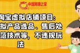 淘宝虚拟店铺项目：教你虚拟产品选品、售后处理、防范技术等，不违规玩法