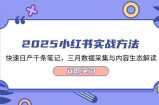 2025小红书实战方法，快速日产千条笔记，三月数据采集与内容生态解读