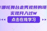 用AI制作哪吒舞台走秀视频的项目，软松实现月入过W