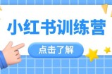 小红书训练营，助小白入门，掌握技巧变达人，课程实操又全面(12节课)