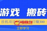 游戏挂机挂机项目，多机操作，日赚300【揭秘】