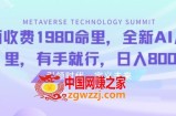 外面收费1980命里，全新AI八字命里，有手就行，日入800+【揭秘】