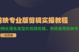 （11969期）剪映专业版剪辑实操教程：流畅处理各类型的视频剪辑，熟练使用剪映专业版