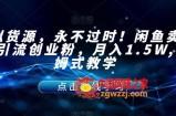 虚拟货源，永不过时！闲鱼卖网课引流创业粉，月入1.5W,保姆式教学【揭秘】