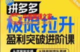 拼多多极限拉升盈利突破进阶课，​从算法到玩法，从玩法到团队搭建，体系化系统性帮助商家实现利润提升
