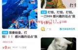 利用信息差月捞过万的古玩项目