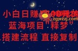 小白能日赚1800元的蓝海项目”释梦”0-1搭建流程可直接复制粘贴长期做【揭秘】