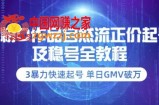 0粉0作品自然流正价起号及稳号全教程：3暴力快速起号单日GMV破万（价值2980）