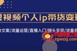 短视频个人ip带货变现：爆款文案/流量运营/直播入门/镜头变现/流量商业