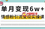 单月变现6W+，抖音情感粉引流变现实操课，小白可做，轻松上手，独家赛道【揭秘】